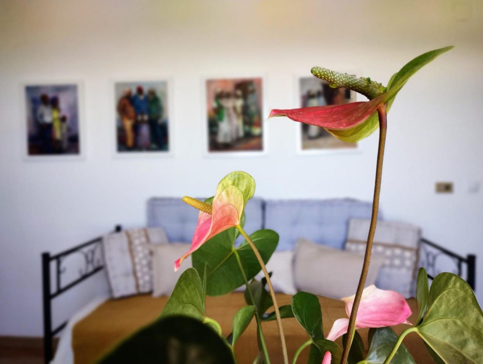 Casa Arte De *
