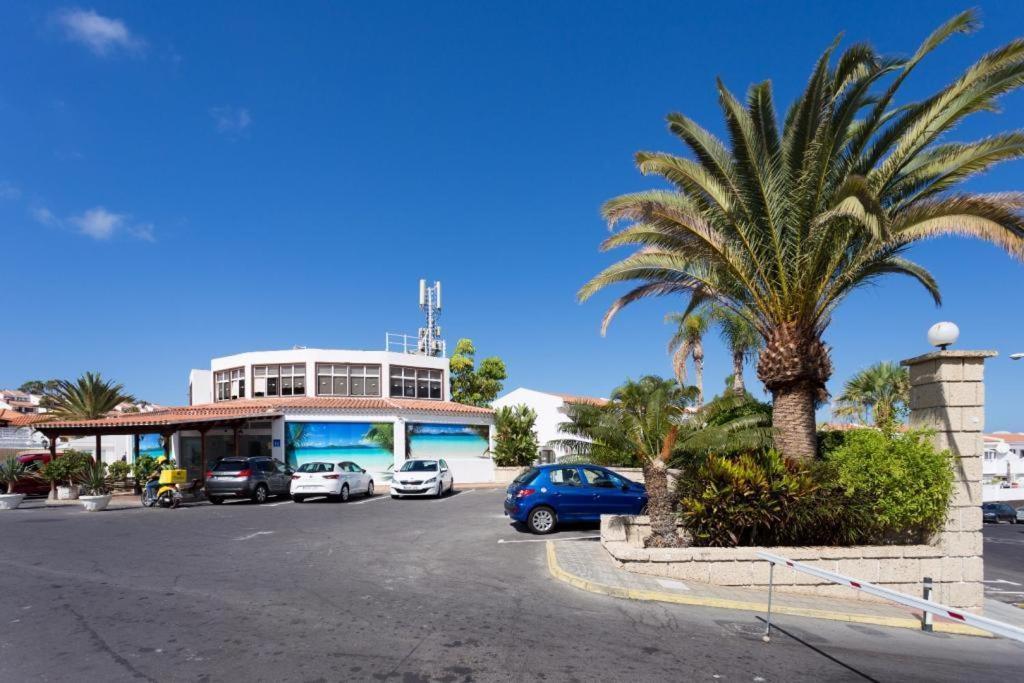 Malibu Grey Costa Adeje (Tenerife)