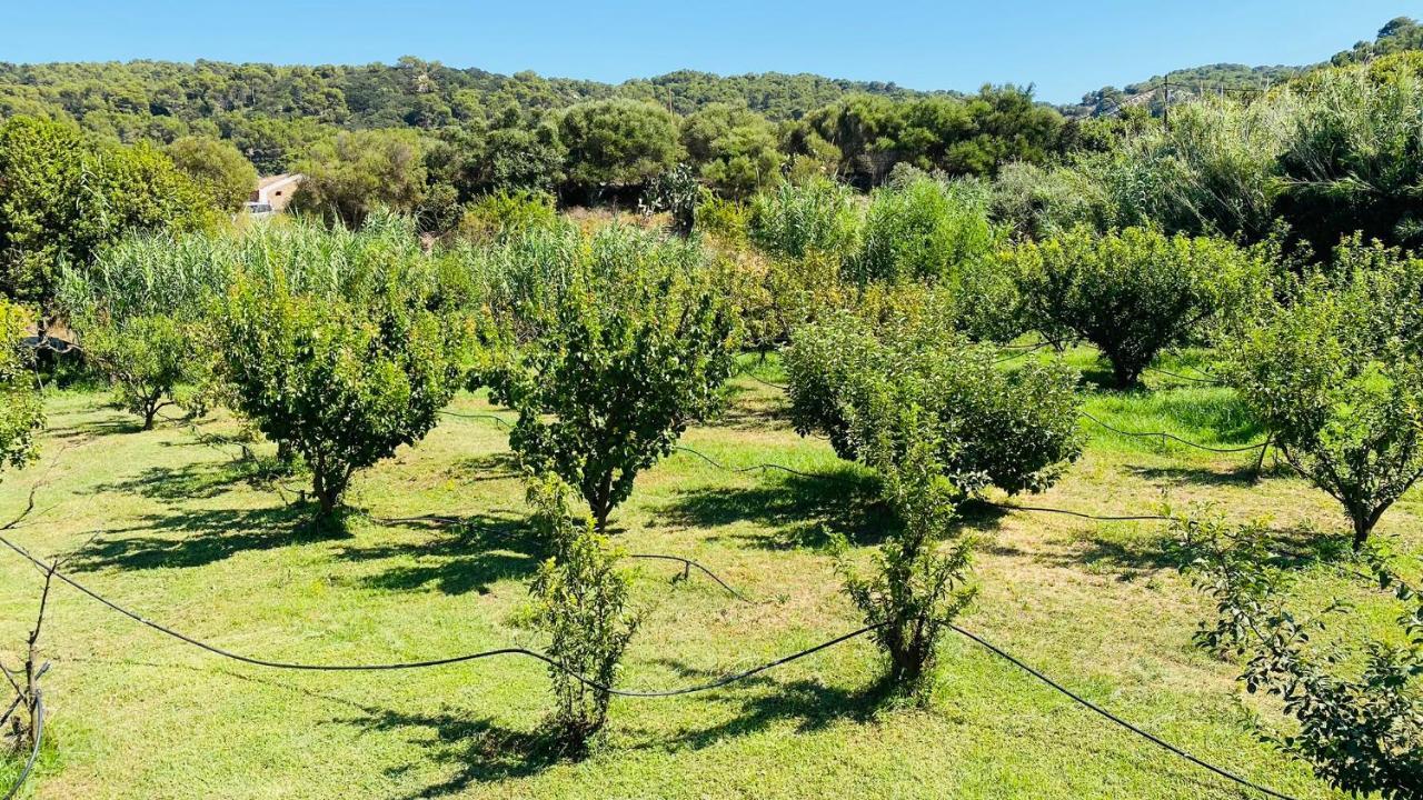 Holiday home Holiday Casa Dina Es Mercadal