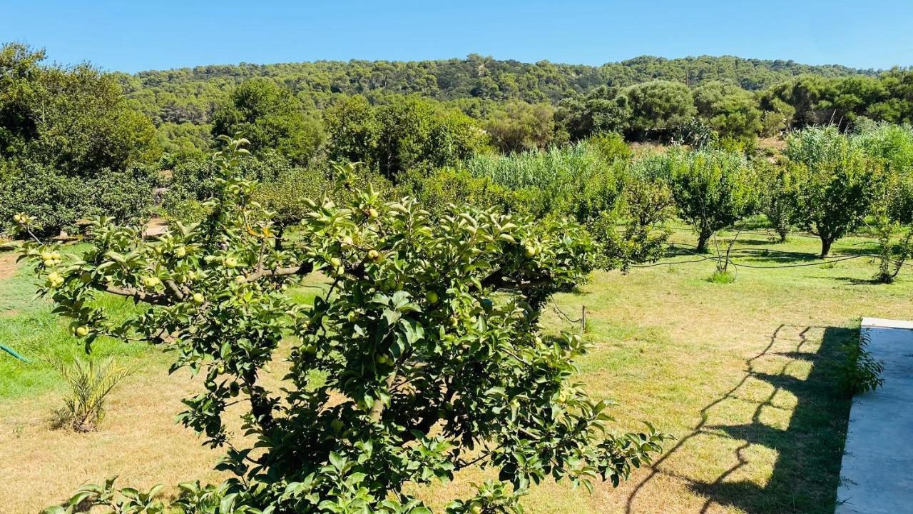 Holiday Casa Dina Holiday home Es Mercadal