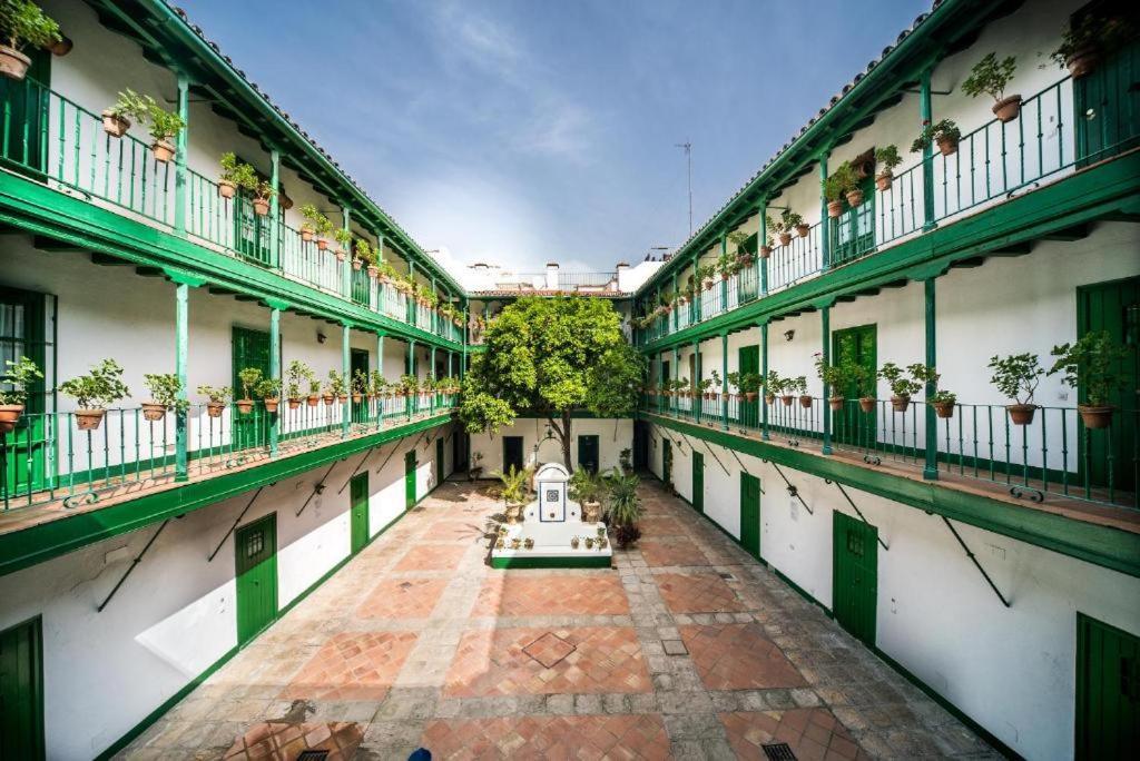 Alcazares Centro Apartment *