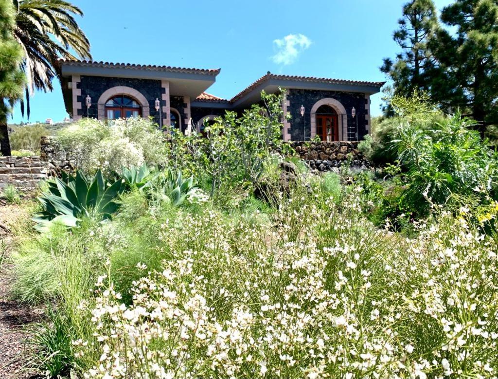 Luxury In Nature With Swimming Pool Luxus-finca In Der Mit Pool, De Lujo En La Naturaleza Con Piscina