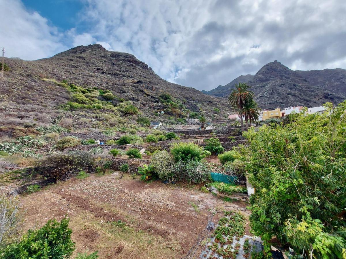 Apartment Casa Ana Con Jardin Punta Del Hidalgo