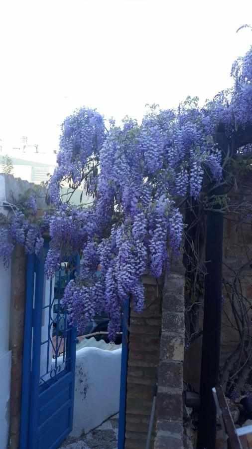 Casa Marquesa Holiday home *