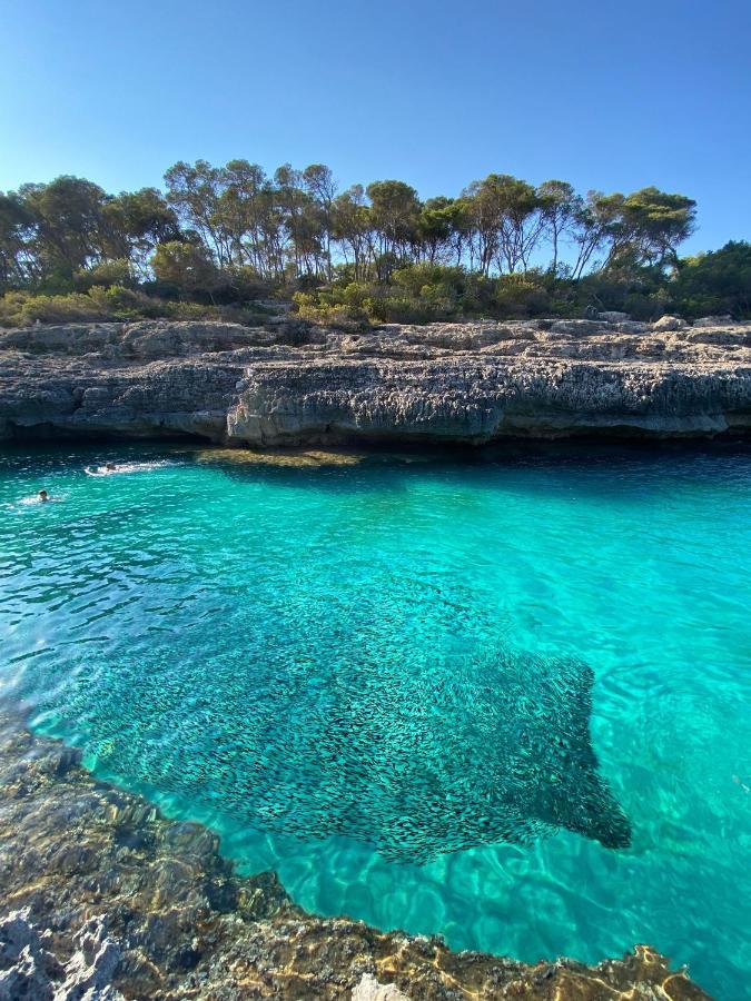 Yuca Ii Cala Mondragó