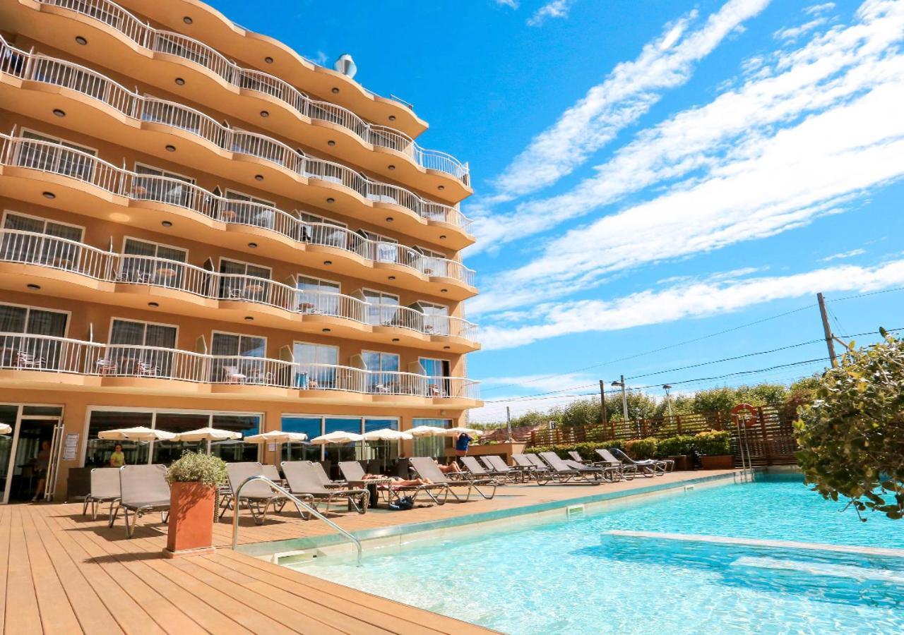 Kaktus Volga - Adults Recommended Calella