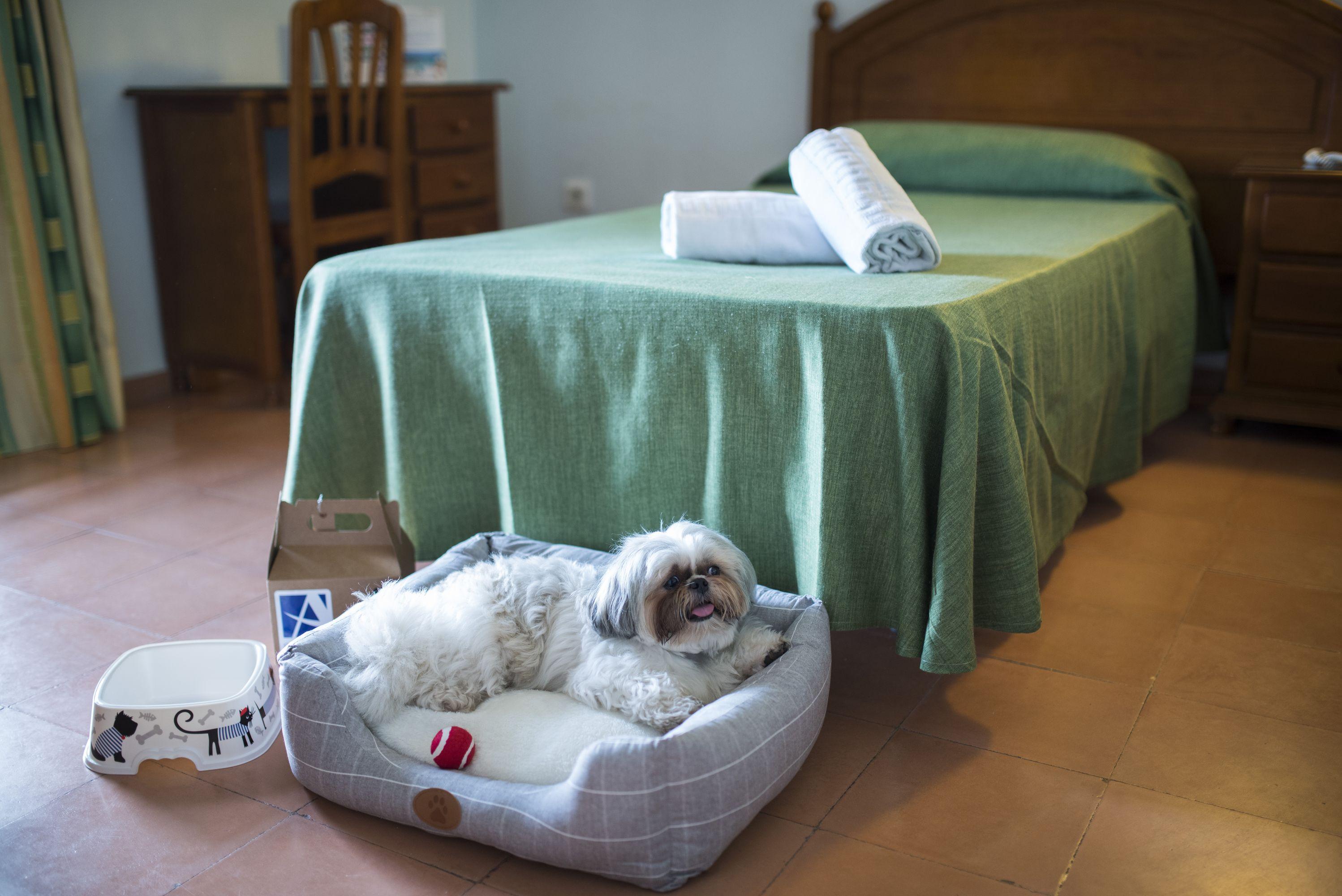 Azuline Galfi (adults Only) San Antonio Abad