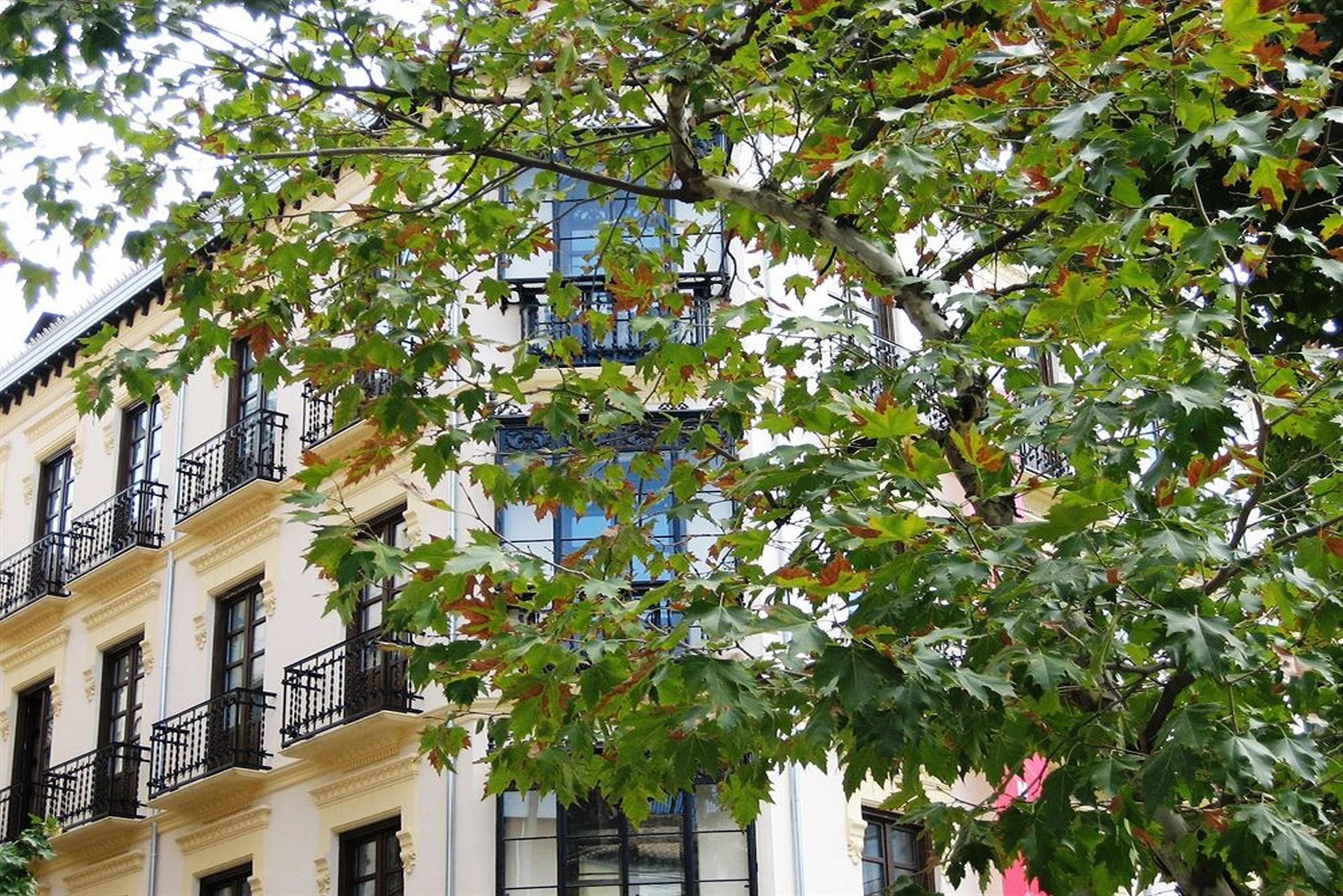 La Casa De La Trinidad Hotel Granada