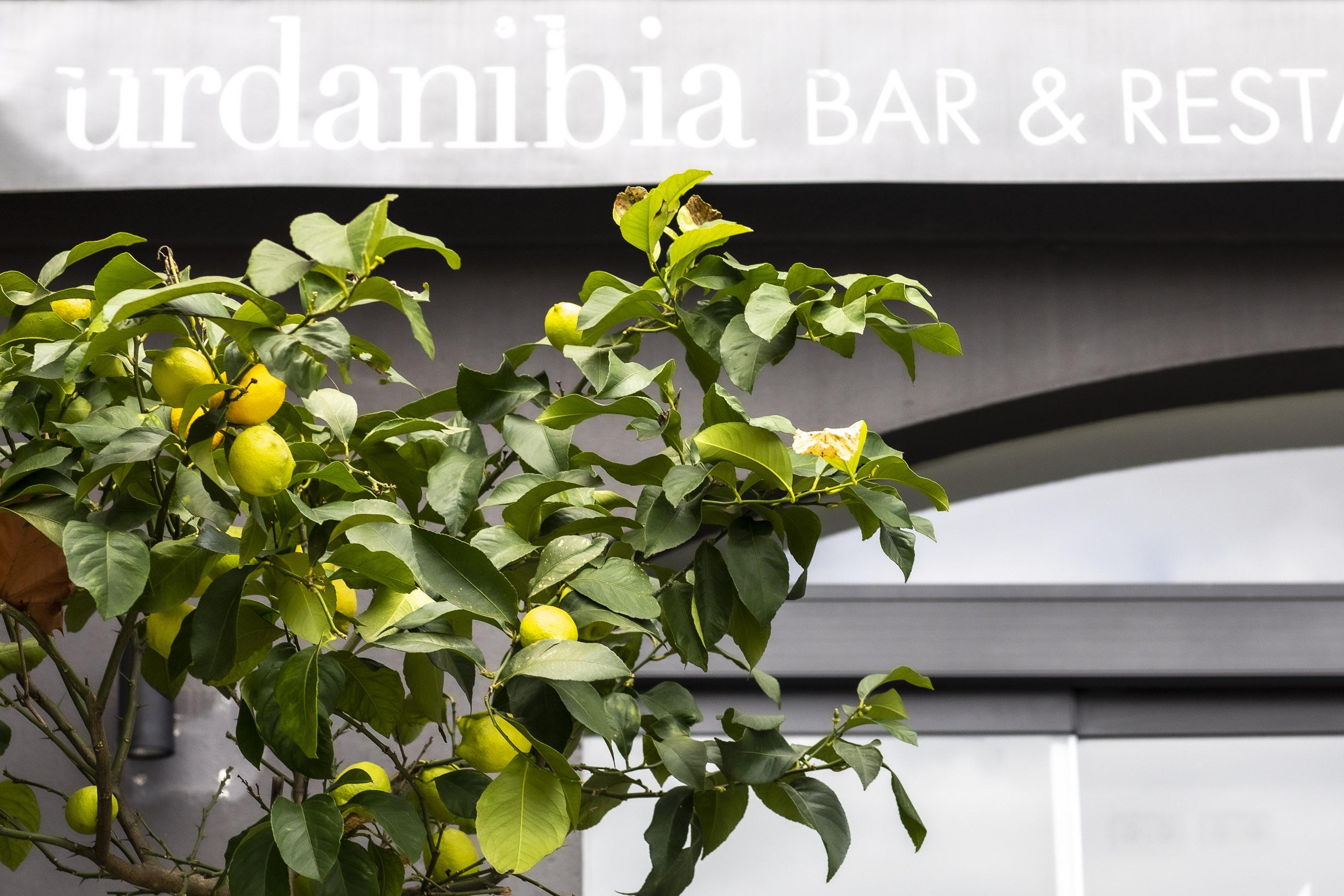 Urdanibia Park