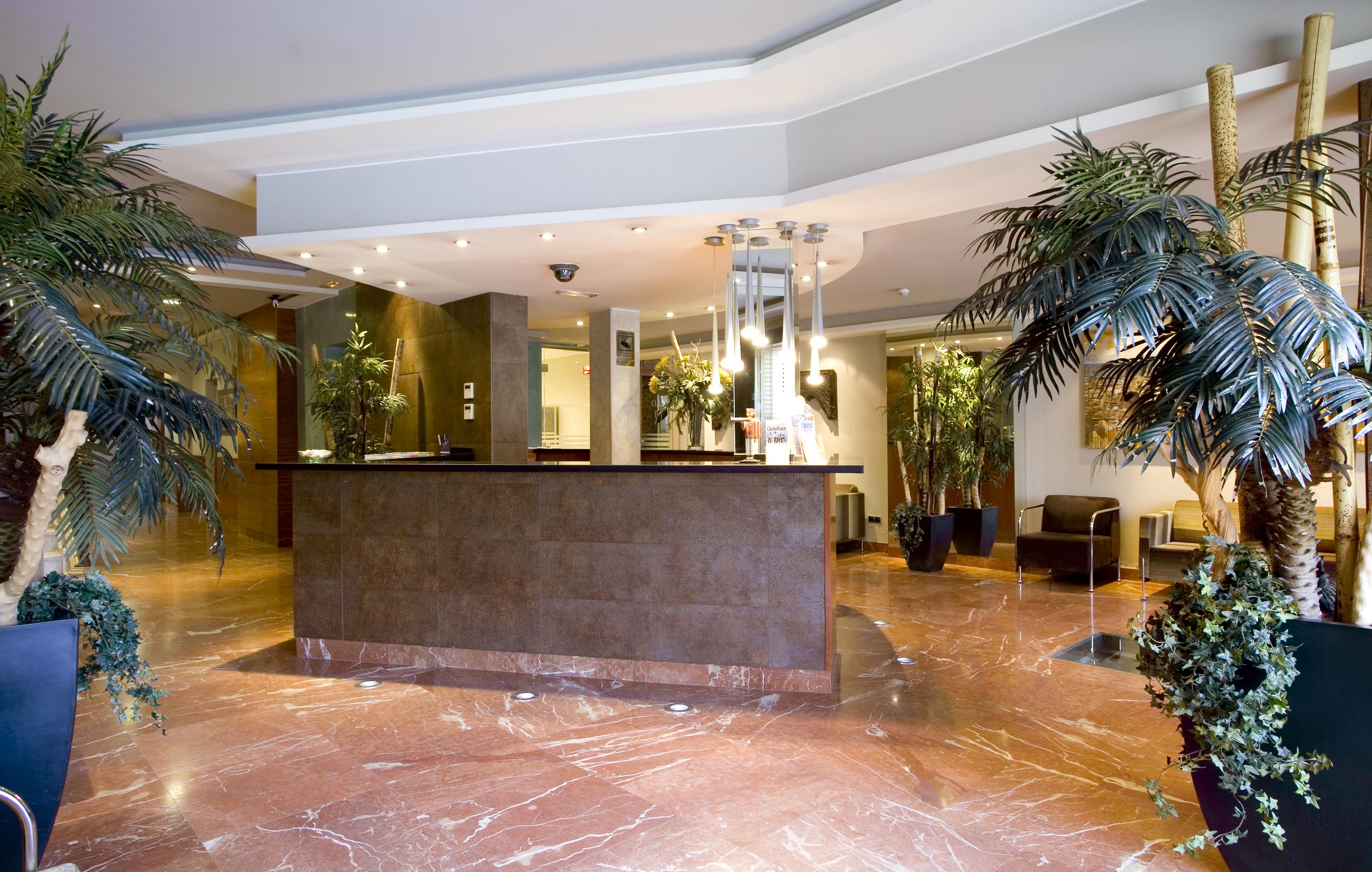 Oasis 2*