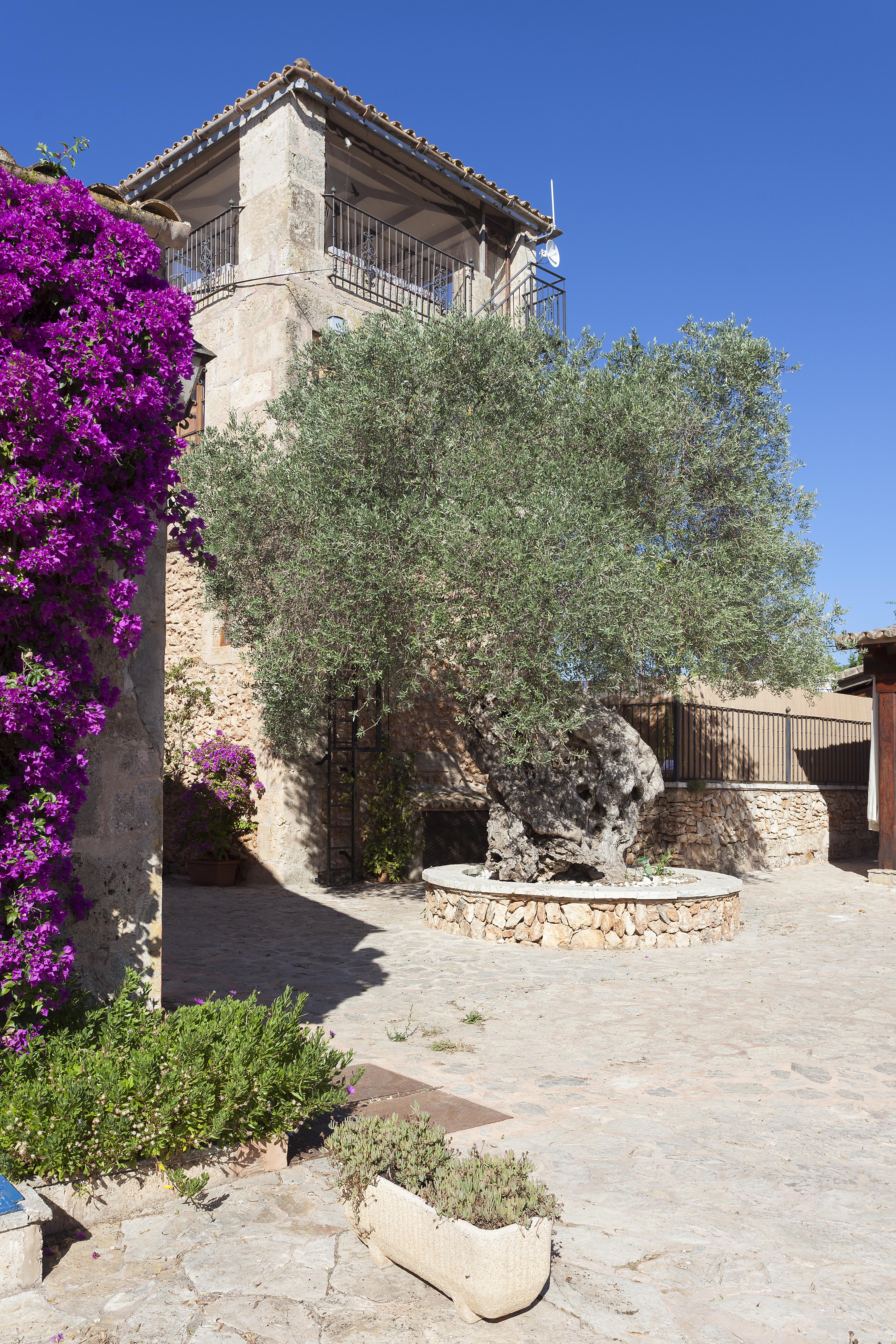 Farm stay Es Revellar Art - Adults Only
