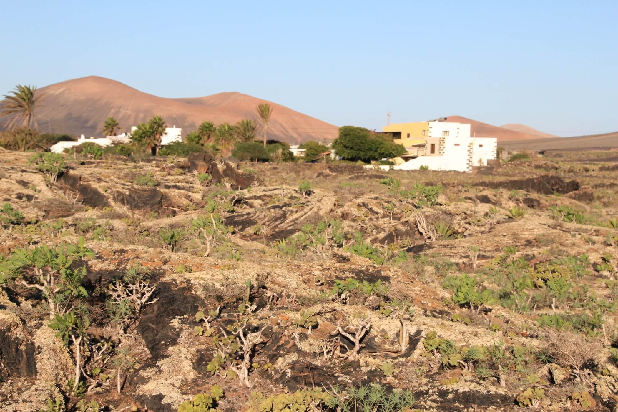 Resort Tomaren San Bartolome (Las Palmas)