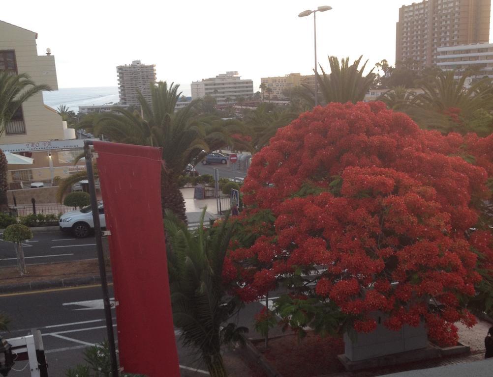 Vivenda Vacational El Mirador Cristianos Tenerife Los Cristianos (Tenerife)