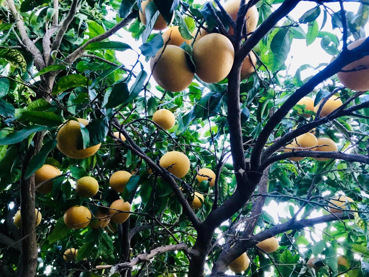 Сasa de vacaciones Casa Amigos - La Almendra
