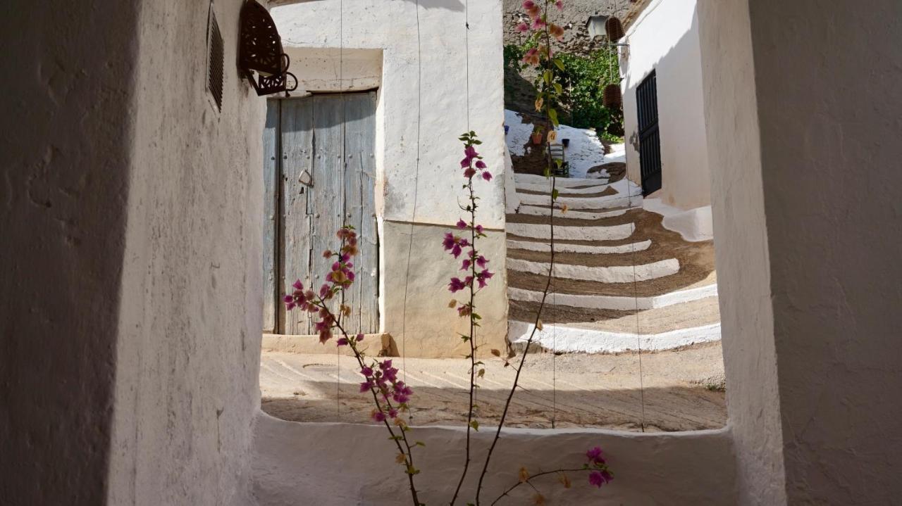 Casa Amigos - La Almendra * Sorvilán