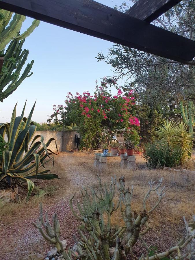 Lodge Casa Alex Guardamar del Segura