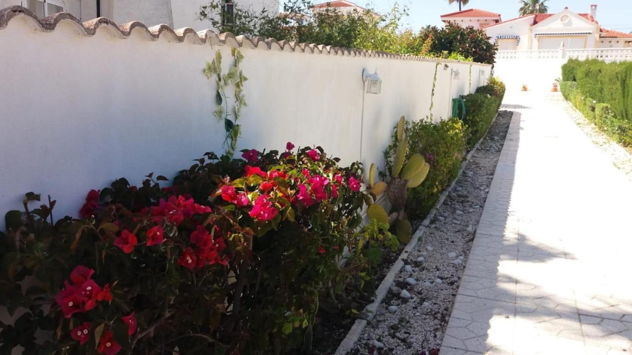 Casatrace *