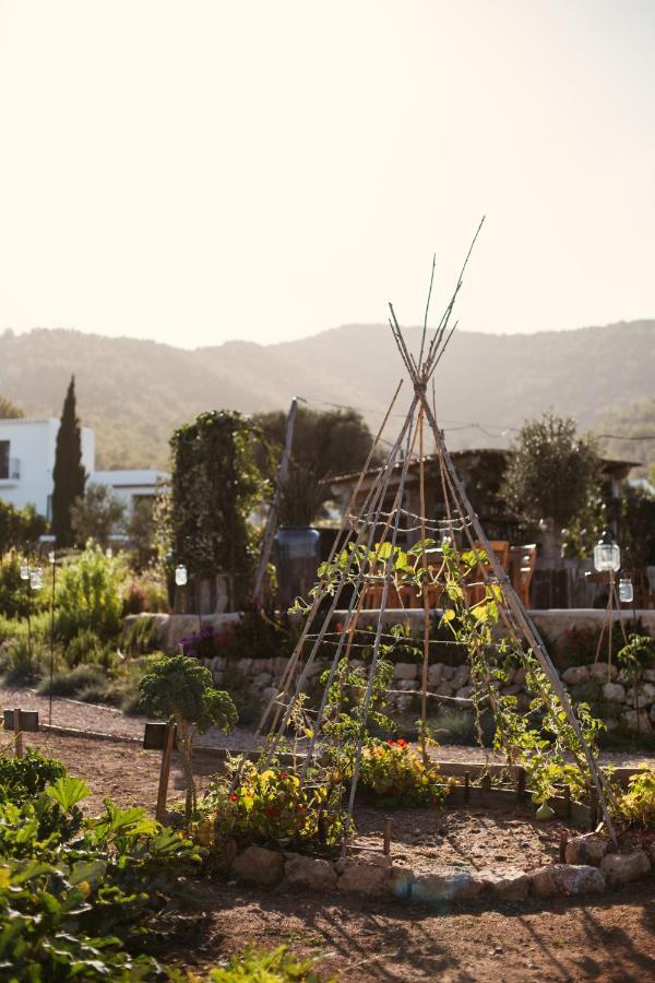 Casa Maca Hotel