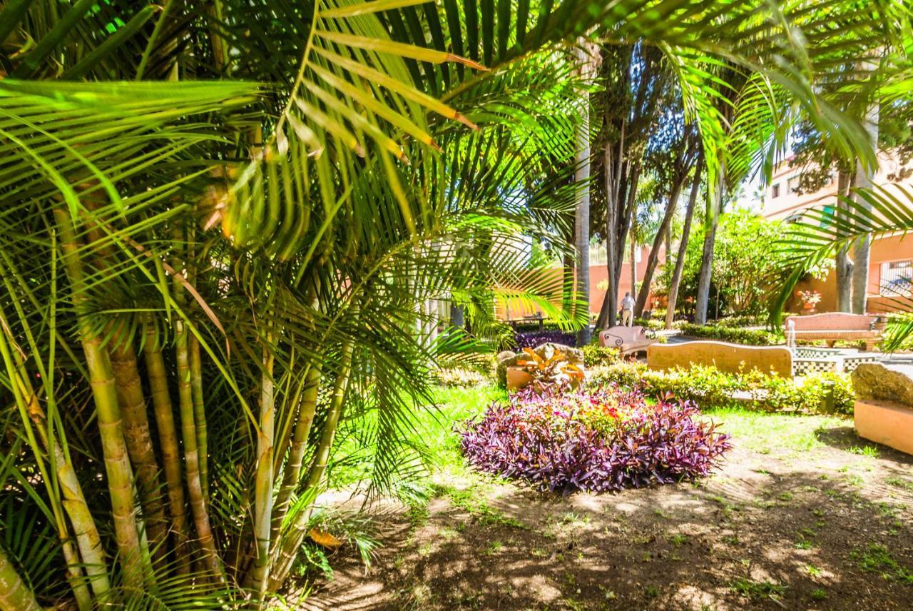 Tropical Pensión 2*