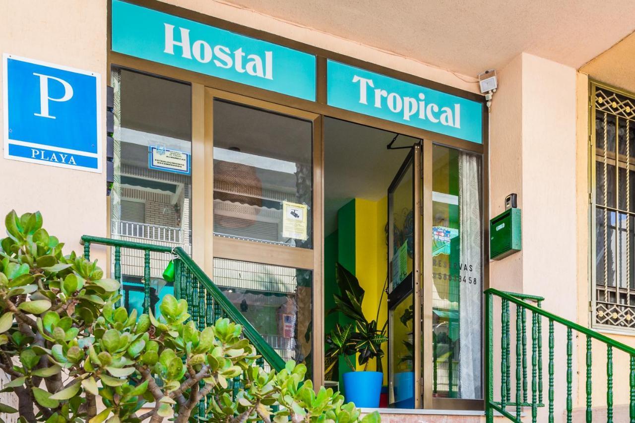 Tropical 2*