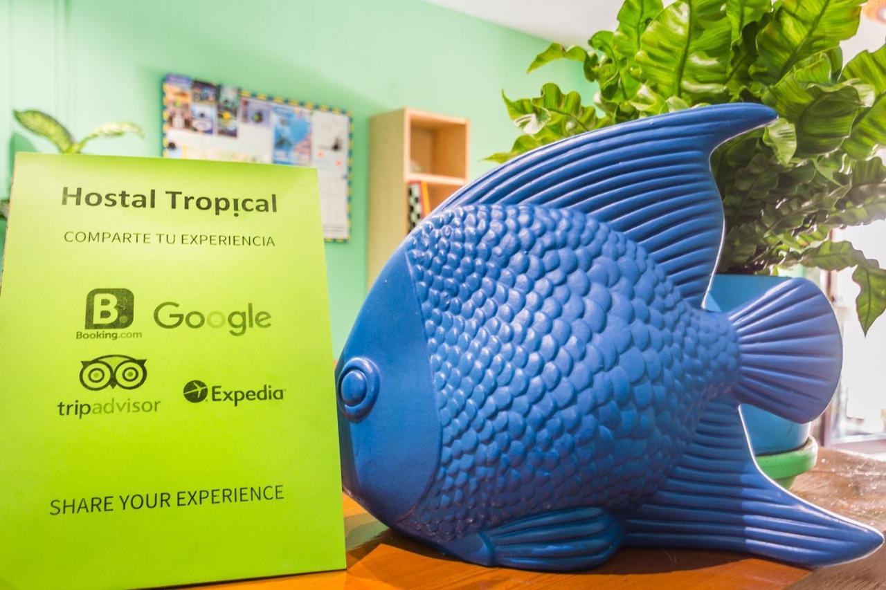 Tropical Pensión