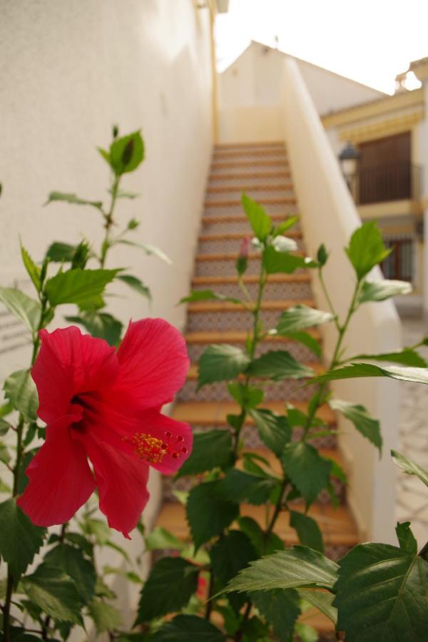 Tropical Apartamento
