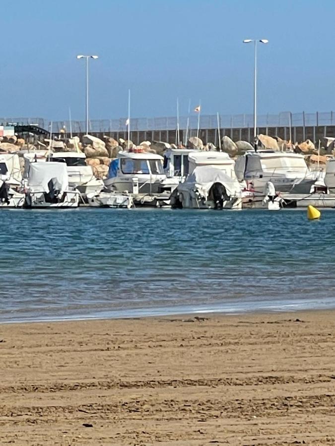 Exclusivo Y Torrevieja