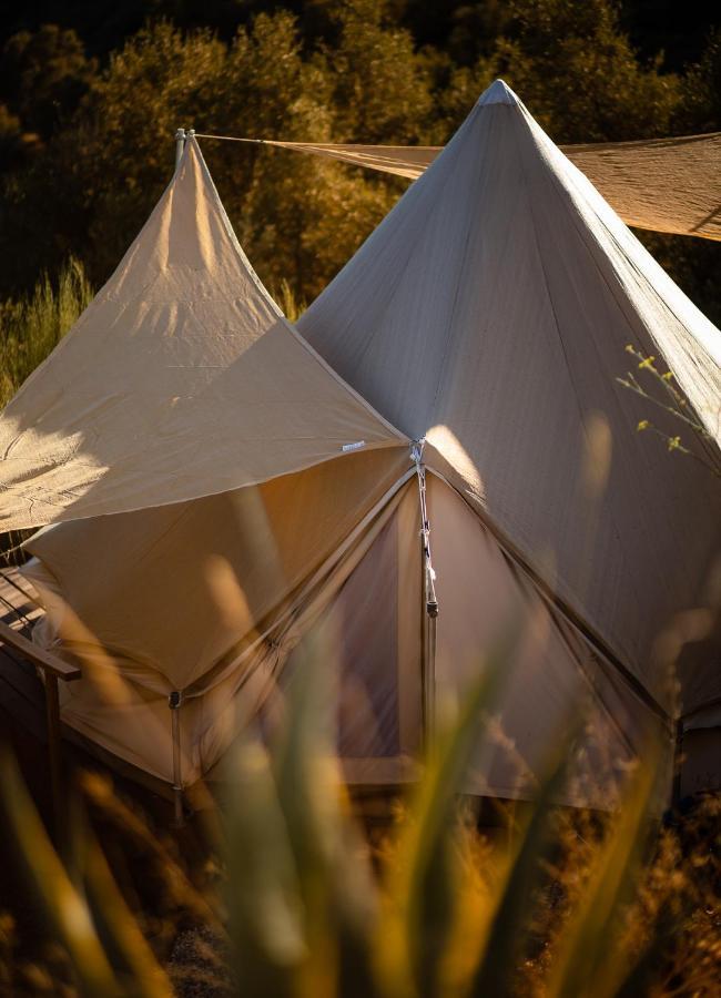 Campo Agave Luxury Tents Luxury tent *