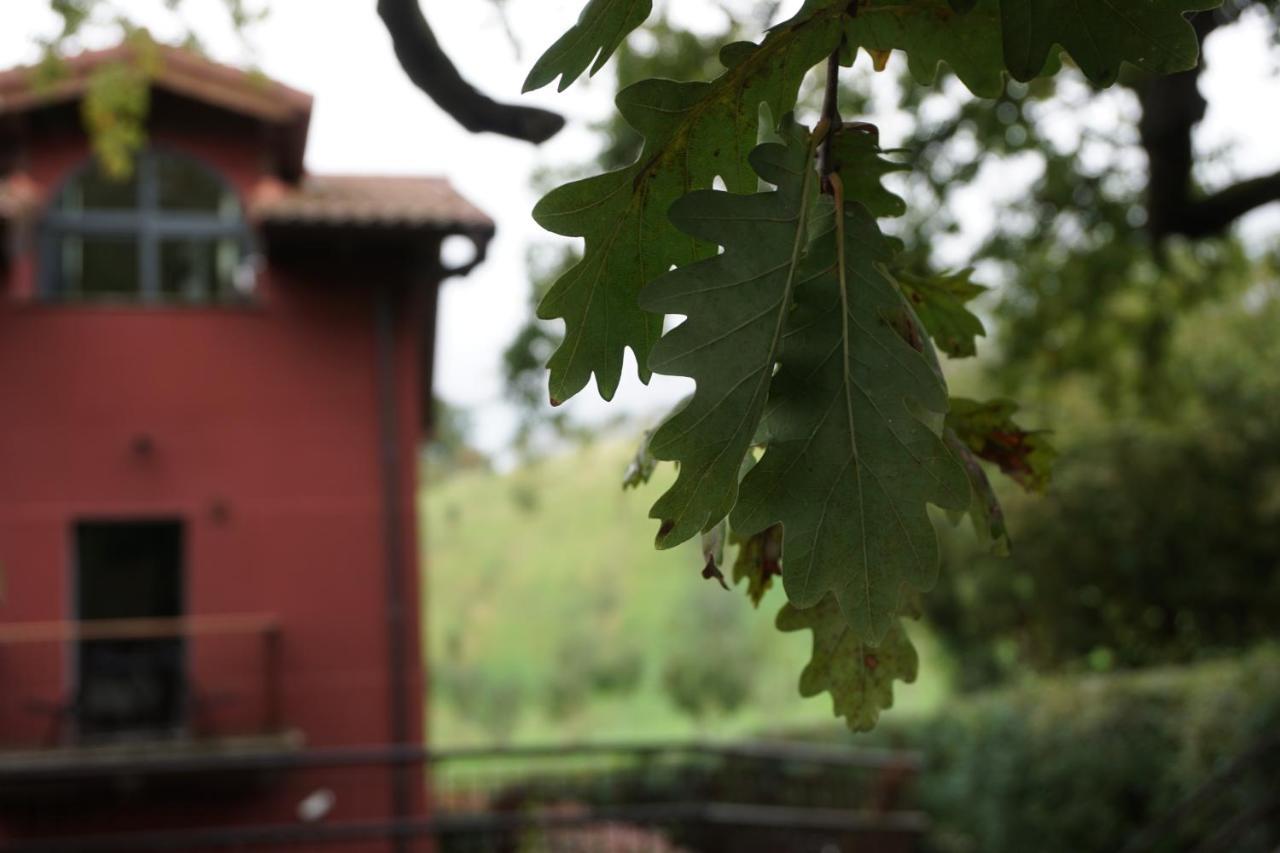 Rural Sagarlore