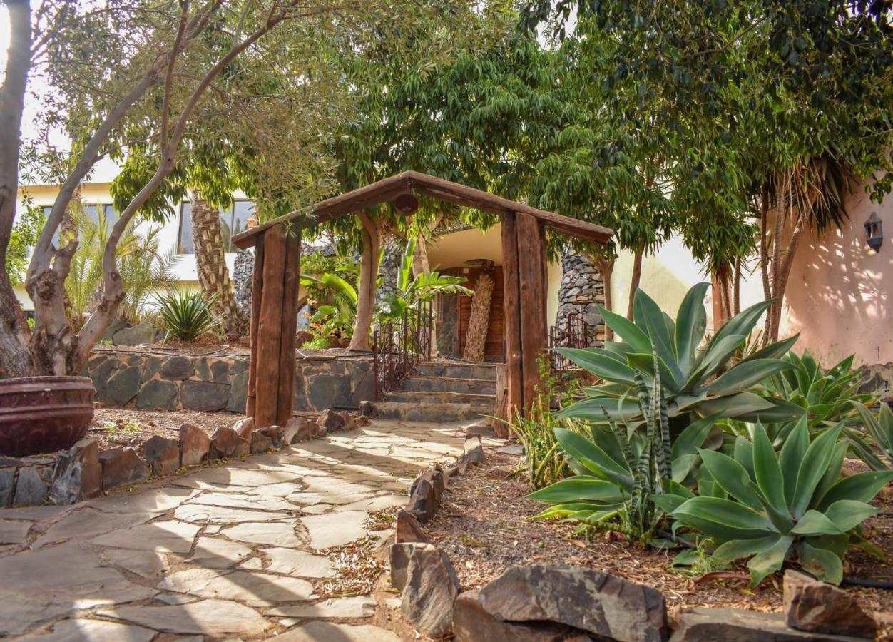 Aulaga Holiday home Aguimes