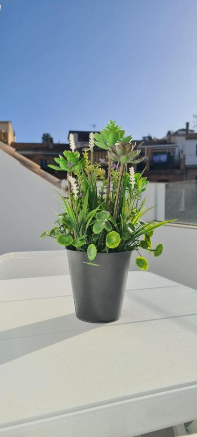 Apartment Atico Corazones *