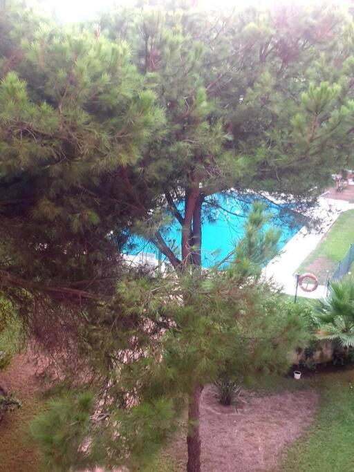 Apartamento Precioso Estudio Con Piscina A 200m Del Mar Marbella