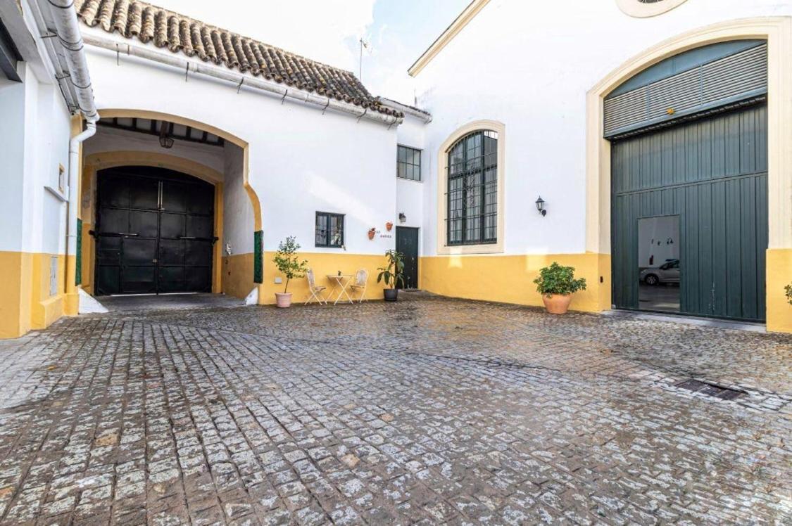 Apartment Loft Bodega San Blas Con Porche Y Parking