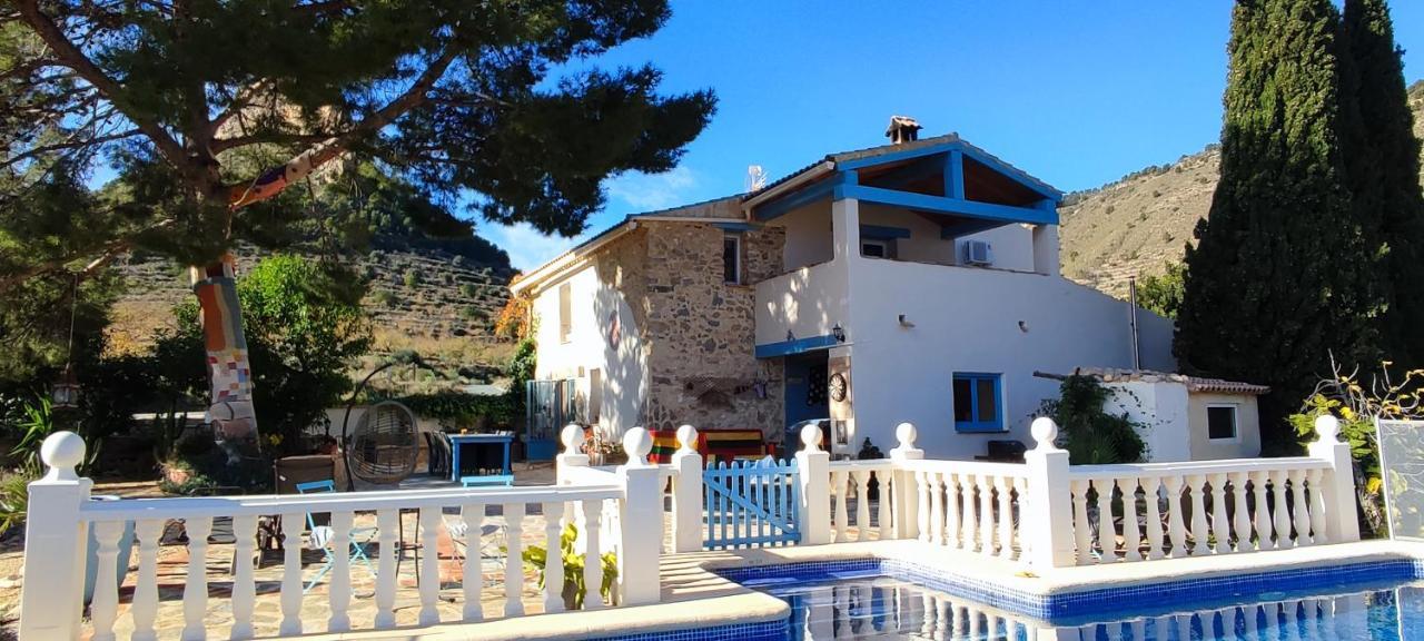 Bed and breakfast Casa Pura Vida