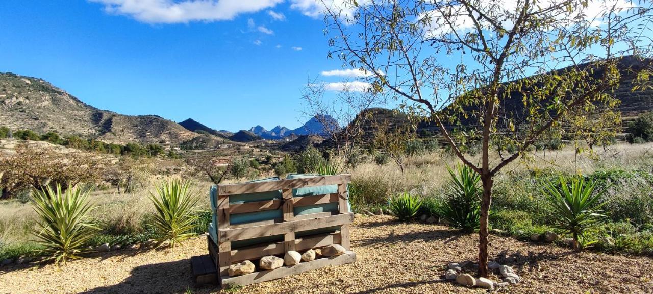 Casa Pura Vida Bed and breakfast