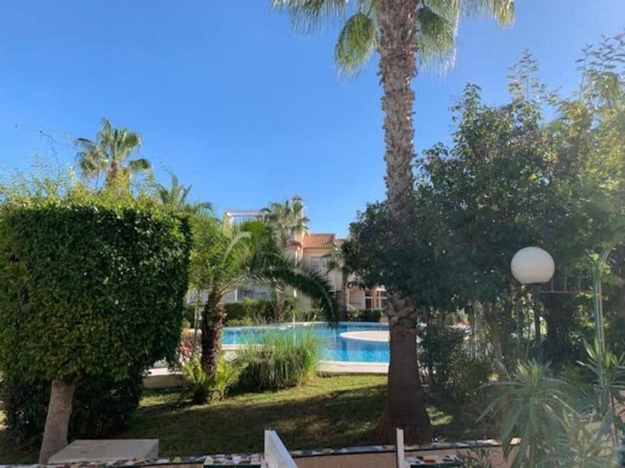 Schoenes Ferienbungalow In Altos Torrevieja