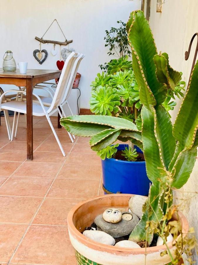 Apartment Playa