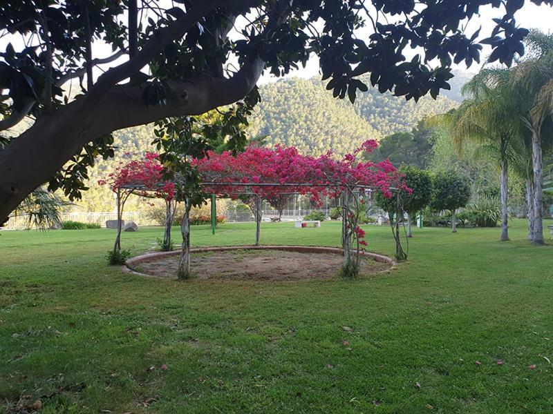 Villa Montgrau