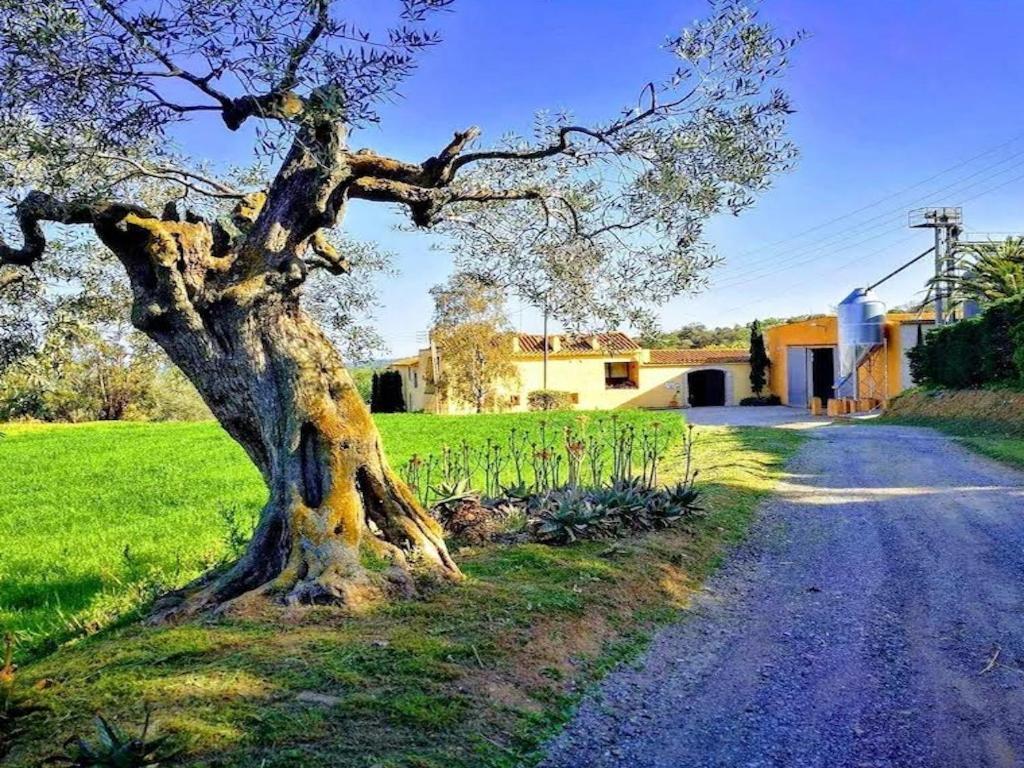 Rural Mas Hortus Villa Gerona