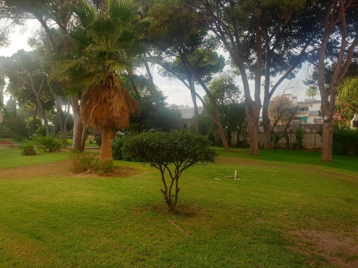 Precioso Estudio Con Piscina A 200m Del Mar Apartamento *