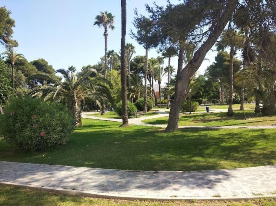 Beautiful With Patio Apartamento *