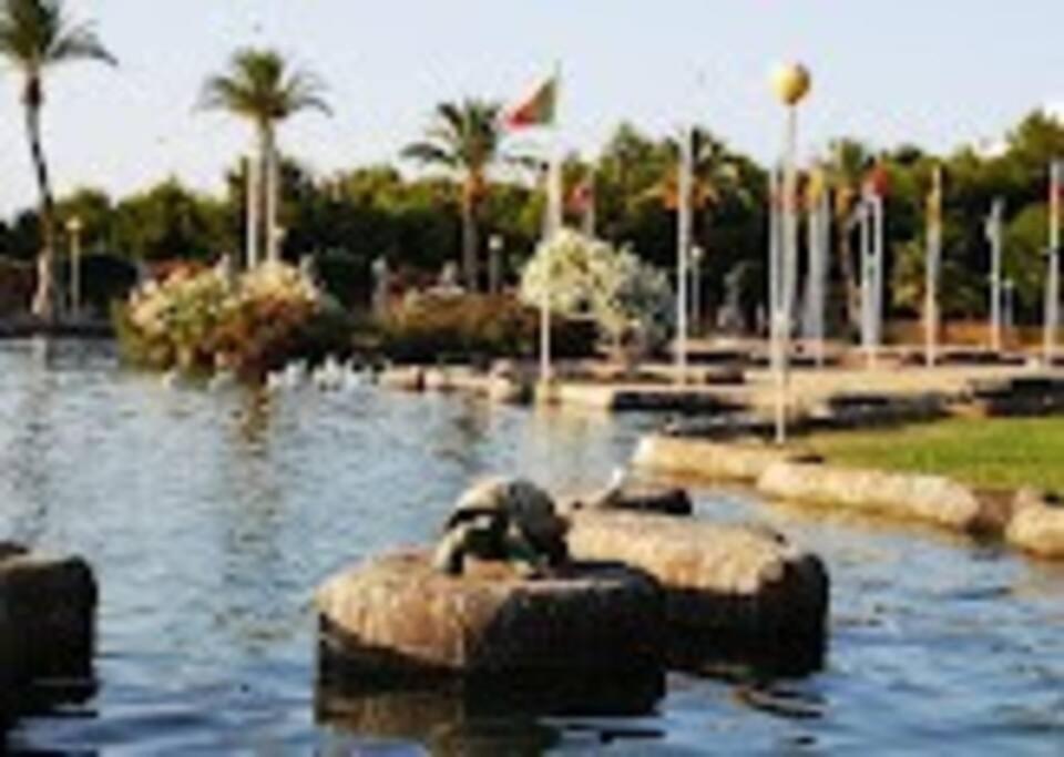 Beautiful With Patio *