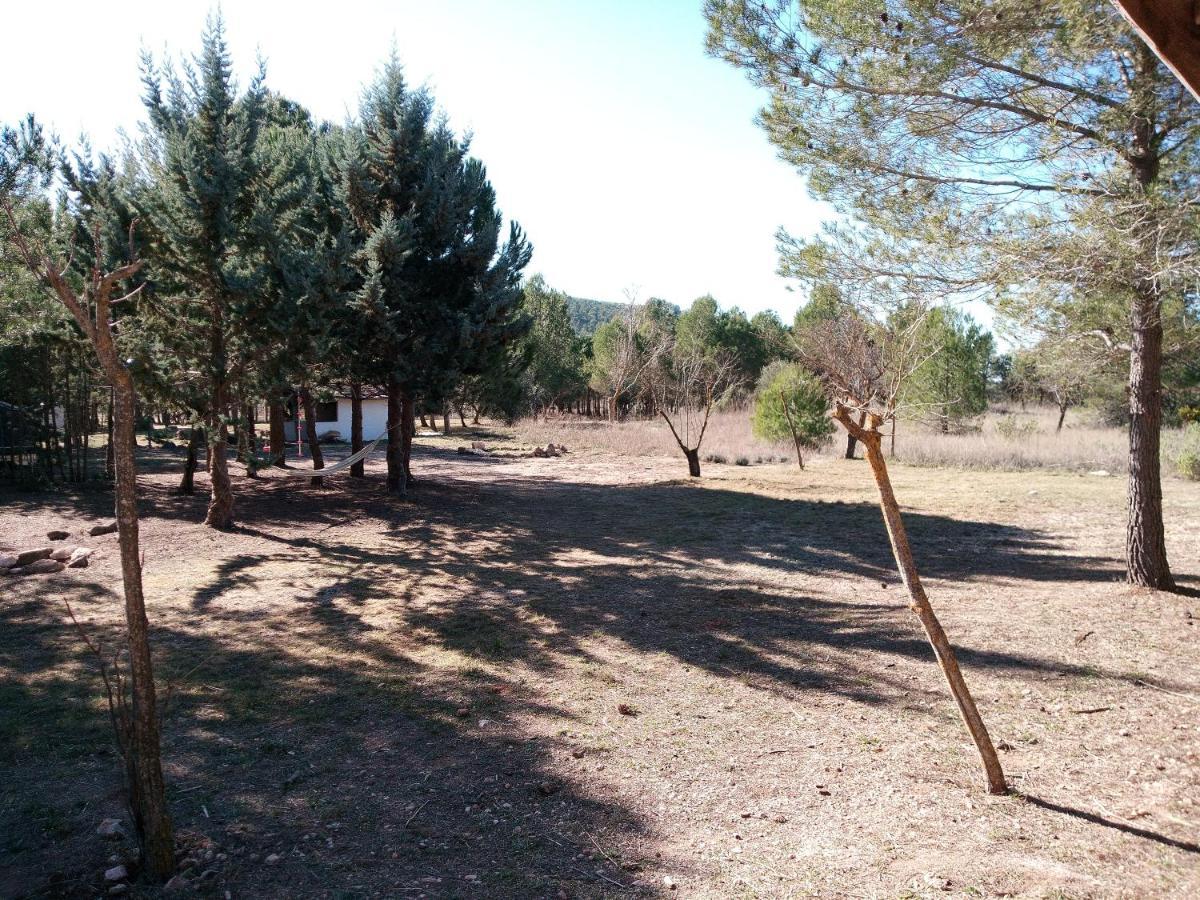 Campsite Buena Vista Cabanas Economicas Torremanzanas