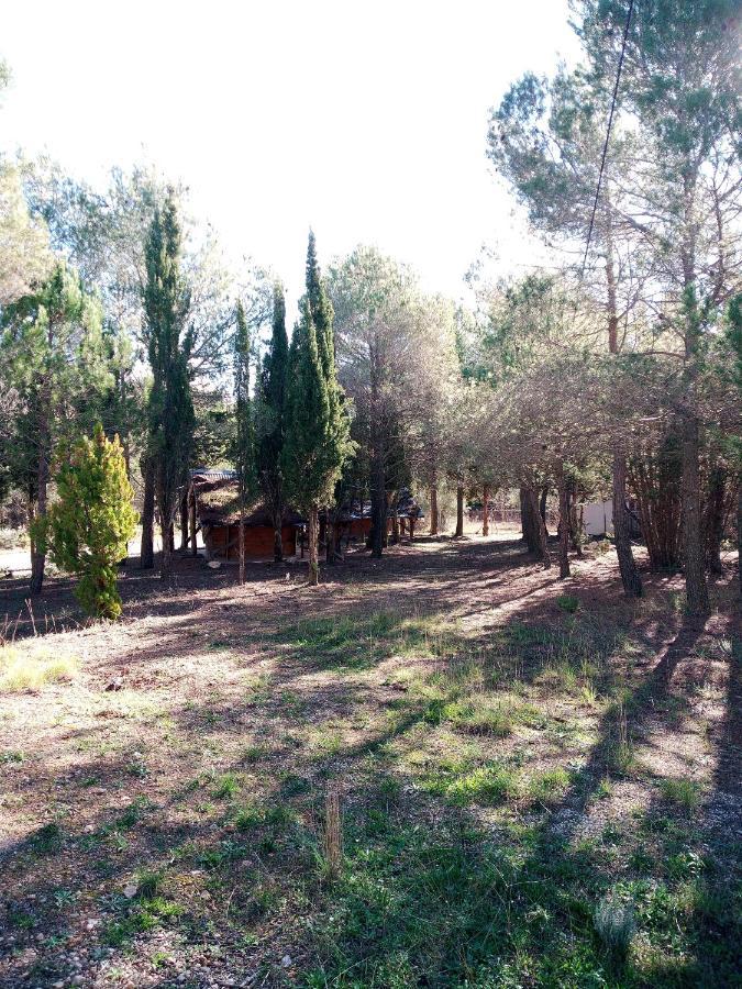 Buena Vista Cabanas Economicas Campsite *