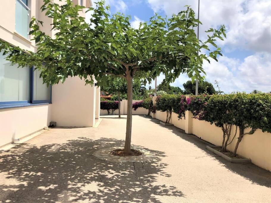 Apartamento Las-olas-en-denia Dénia