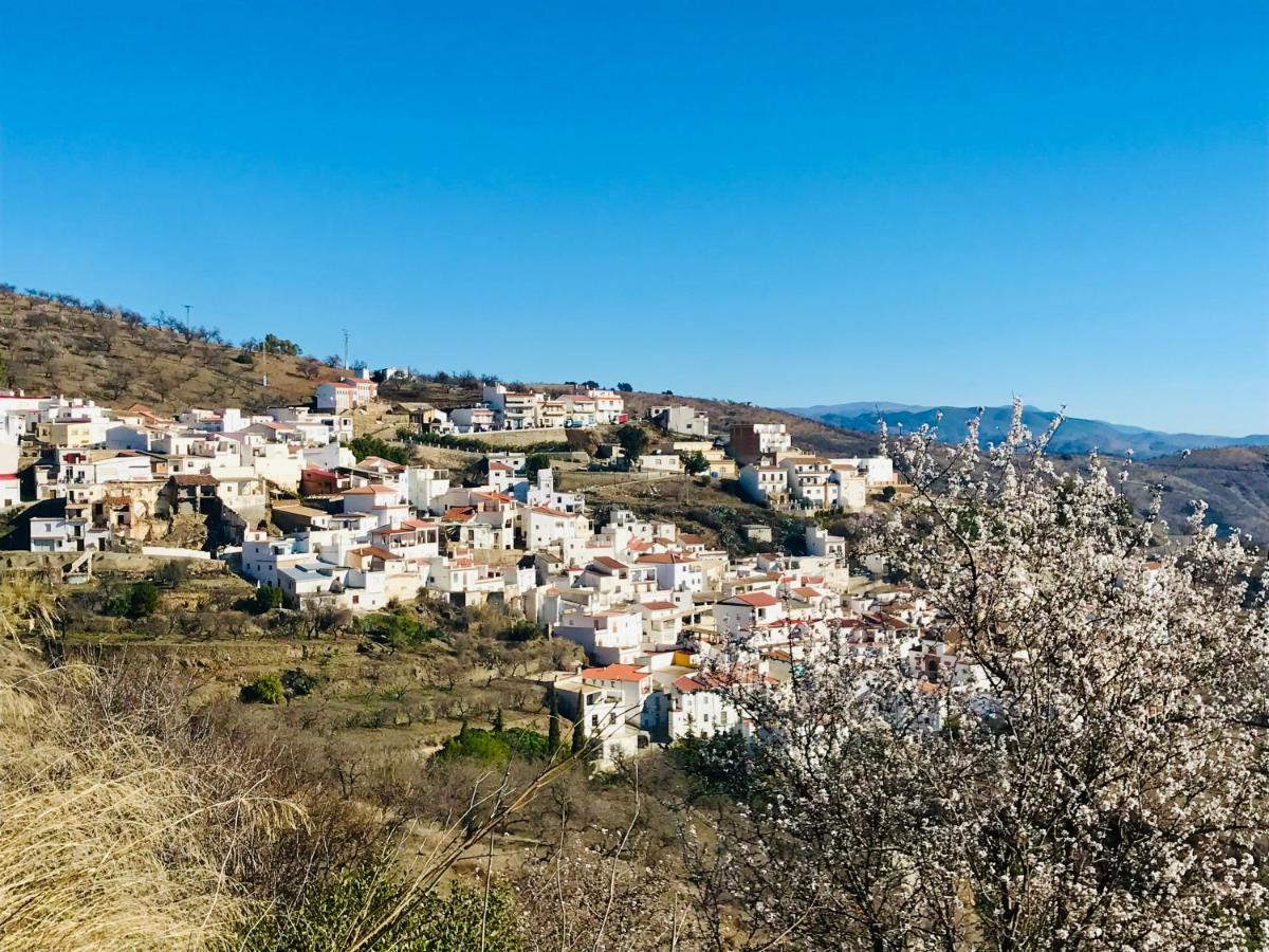 Сasa de vacaciones Casa Amigos - La Almendra Sorvilán
