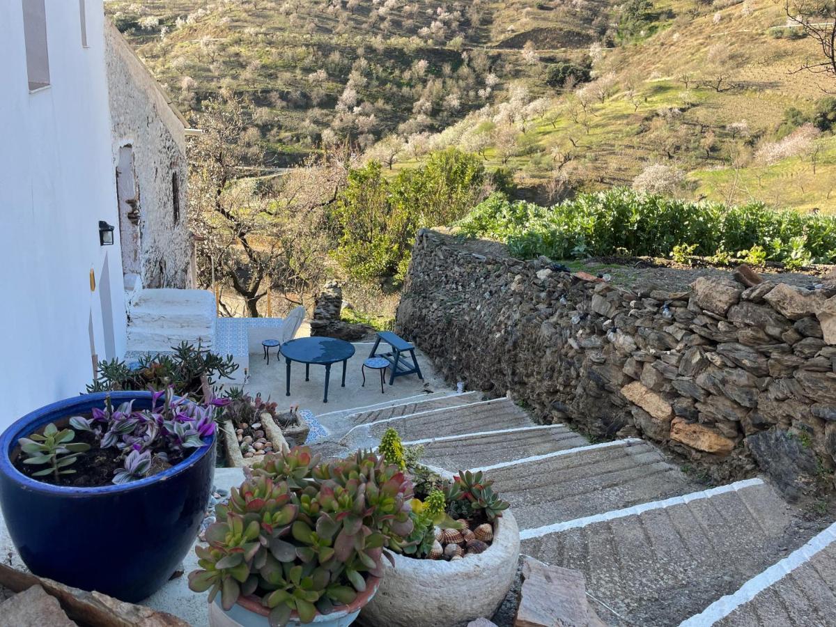 Casa Amigos - La Almendra Сasa de vacaciones *