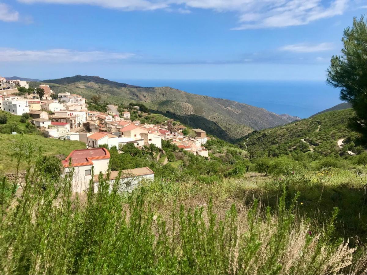 Casa Amigos - La Almendra Sorvilán