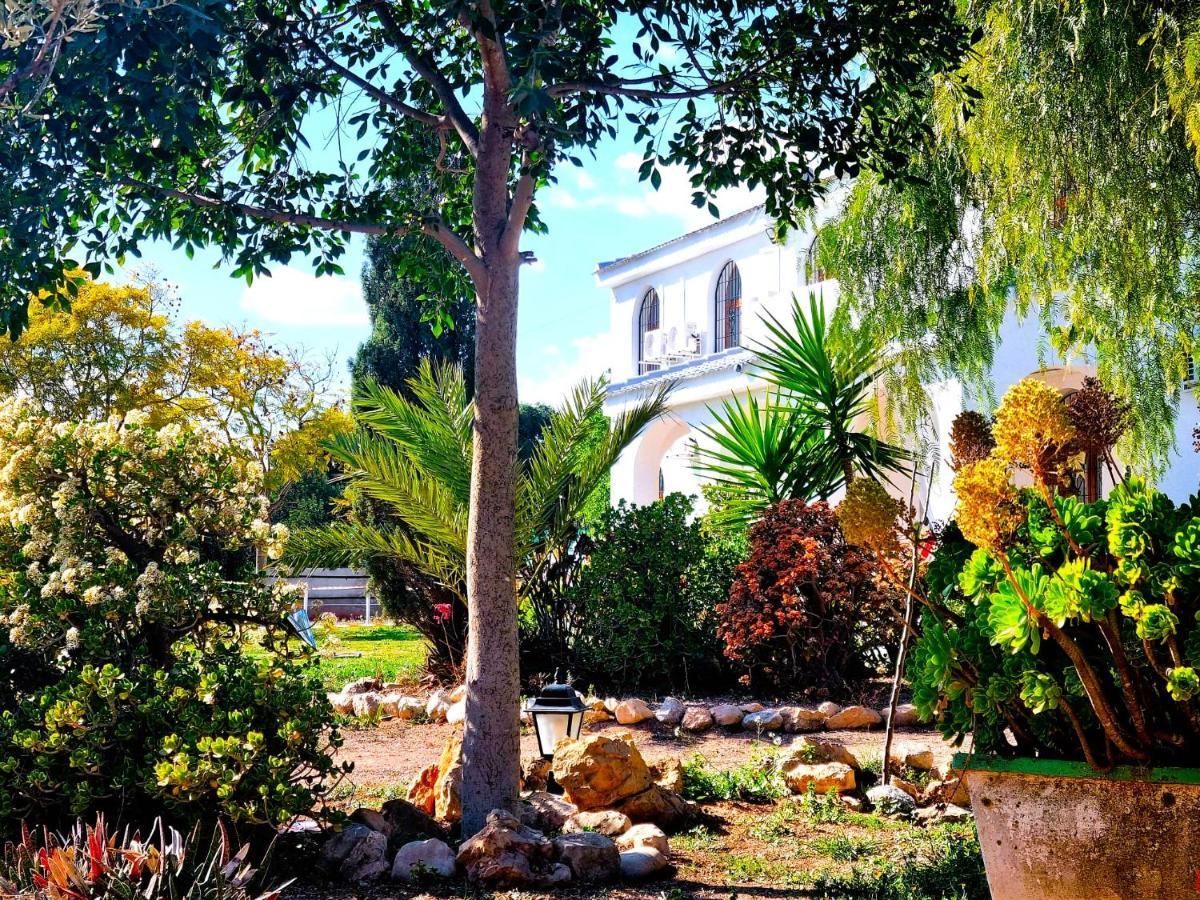 Villa Alicante Sol Y Luz Sant Vicent del Raspeig (San Vicente del Raspeig)