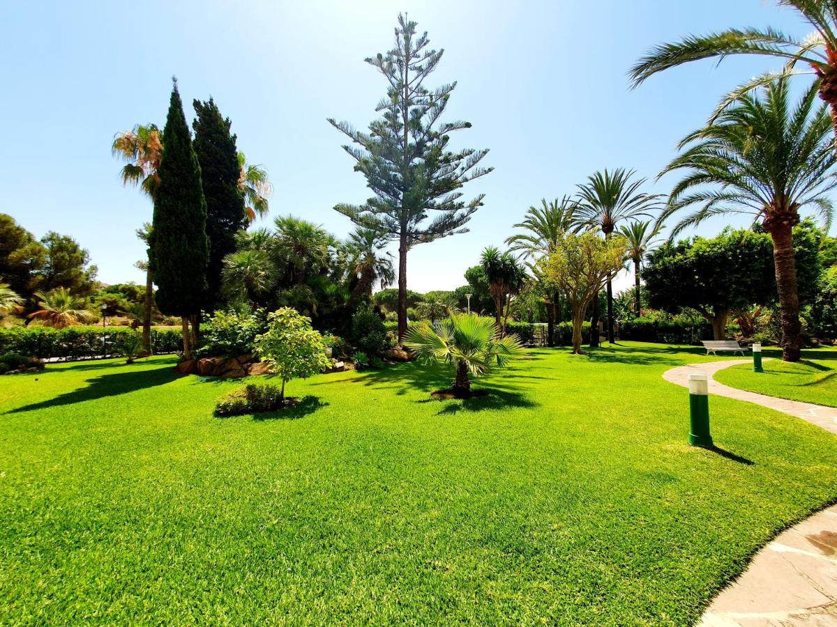 Apartment Estudio Coronado 324